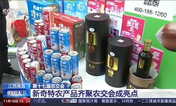榛子產(chǎn)品