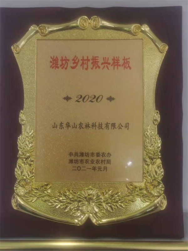 濰坊鄉(xiāng)村振興樣板
