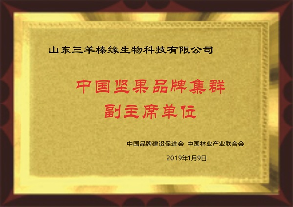 中國(guó)堅(jiān)果品牌集群副會(huì)長(zhǎng)單位