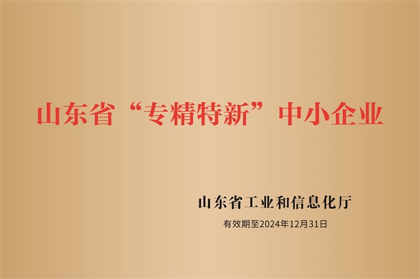 省級(jí)專(zhuān)精特新