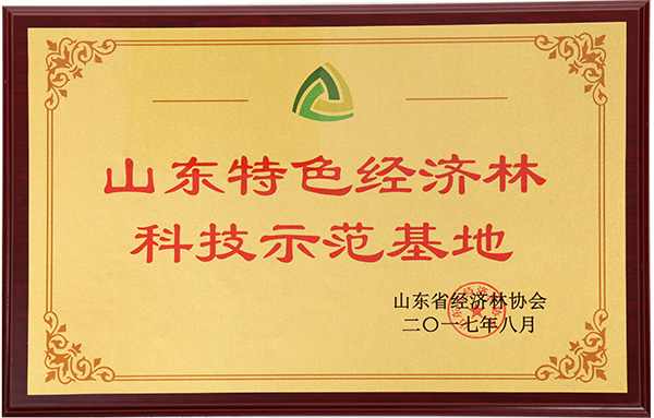 山東特色經(jīng)濟(jì)示范基地