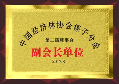 副會(huì)長(zhǎng)單位
