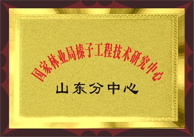 山東分中心