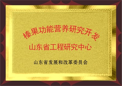 山東省工程研究中心